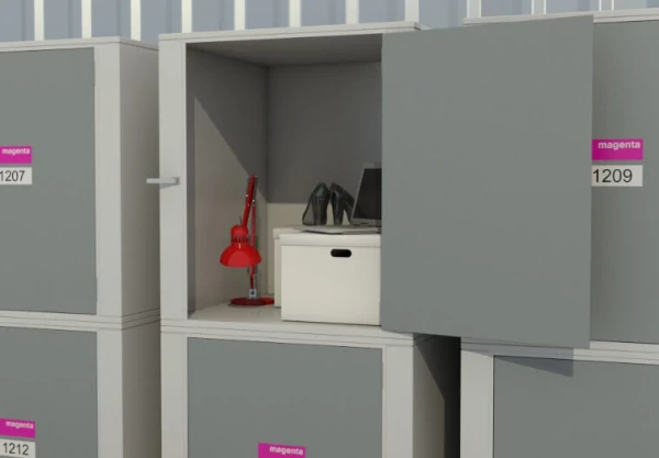 10 sq ft Locker storage unit